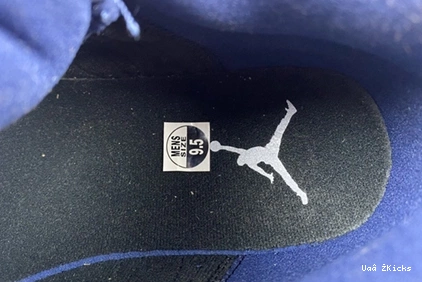 DJ5982- 13 "Brave 793 Air Blue" 1936 Bold Jordan 0731